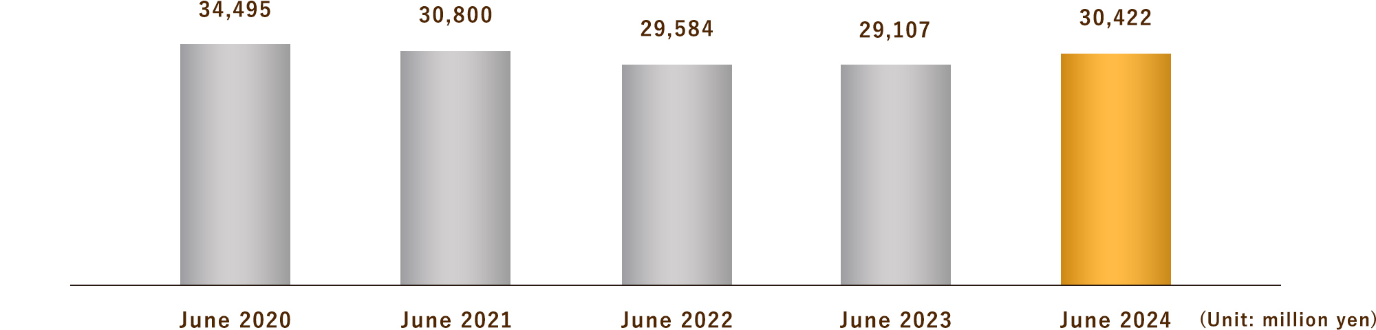 Total Assets (Consolidated)