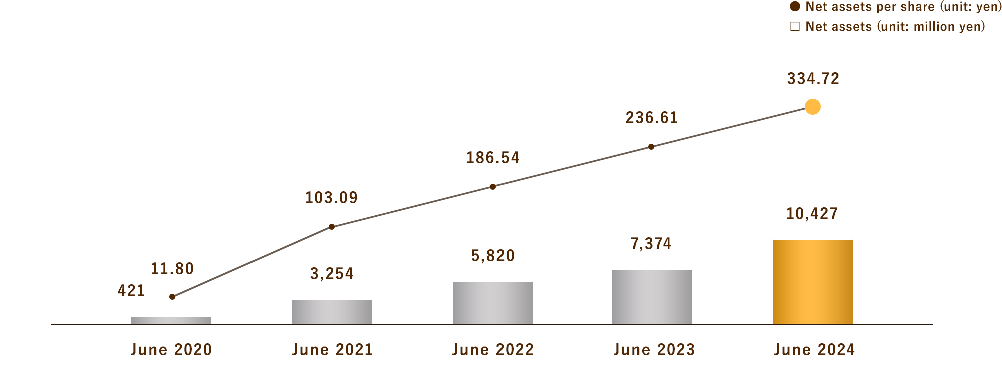 Net Assets (Consolidated)